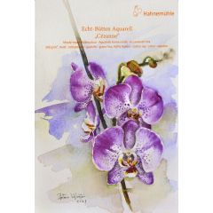 Orquídea Phalaenopsis Acuarela
