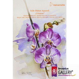 Orquídea Phalaenopsis Acuarela